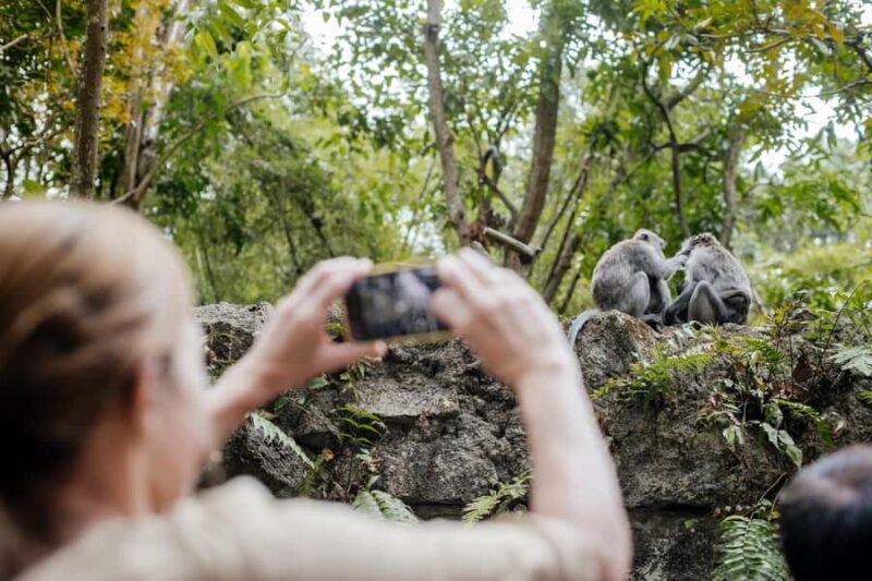 Ubud: Monkey Forest, Ceking Rice Terraces and More Full Day - Practical Tips for Making the Most of the Day