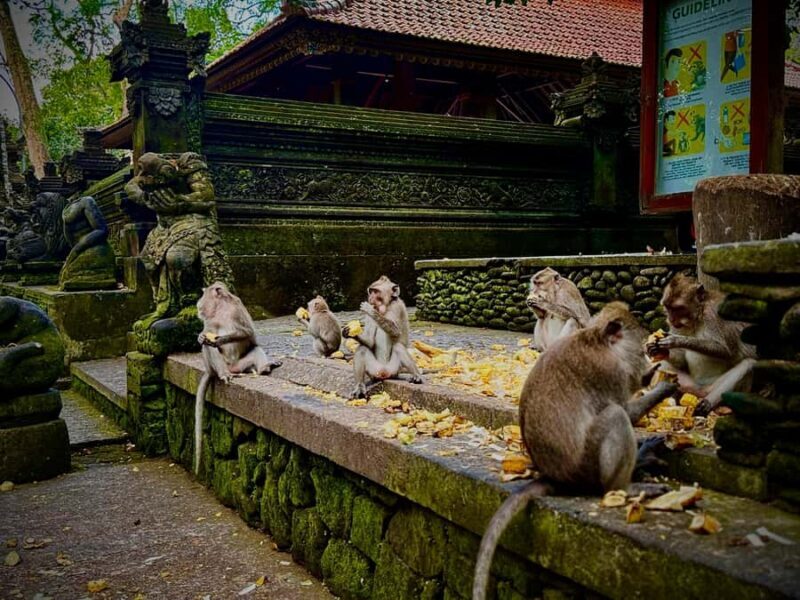 Ubud: Monkey Forest, Cretya Pool & Zipline Shared Tour - Good To Know