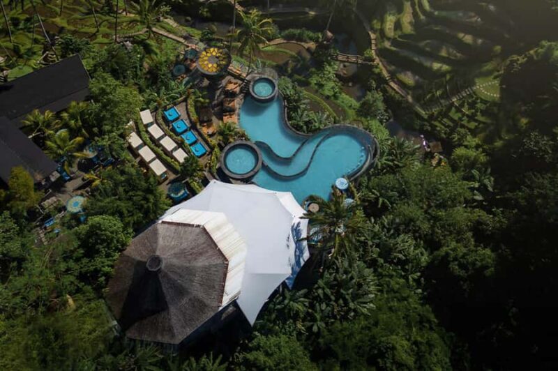 Ubud: Monkey Forest, Cretya Pool & Zipline Shared Tour - Authentic Experiences and Practical Tips