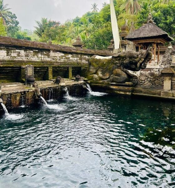 Ubud: Monkey Forest, Holy Water Temple, and Hot Springs Tour - Transportation Details
