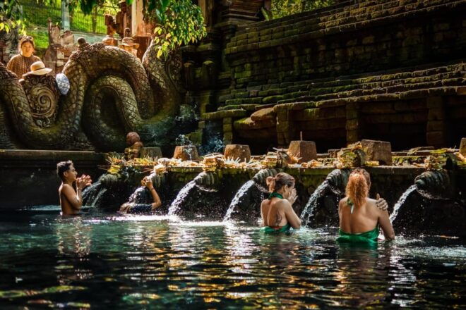 Ubud: Monkey Forest, Rice Terrace, and Jungle Swing Tour - Highlights of the Monkey Forest