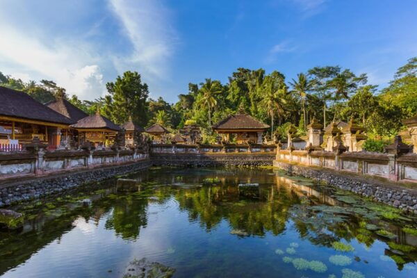 Ubud: Monkey Forest, Rice Terrace, and Jungle Swing Tour - Exploring the Rice Terrace