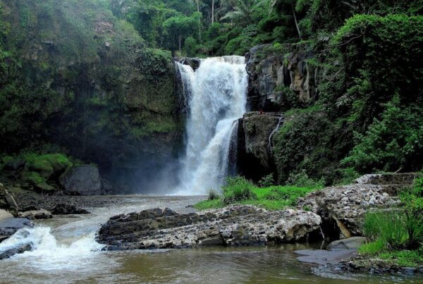 Ubud: Monkey Forest, Rice Terrace, and Jungle Swing Tour - Experience the Jungle Swing