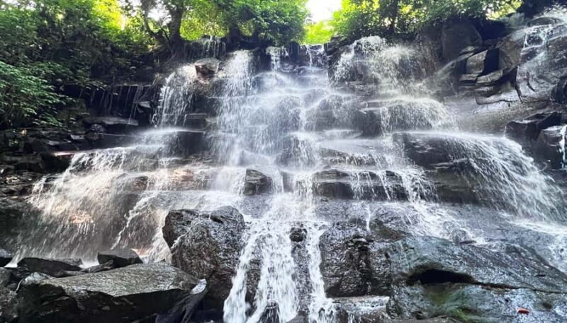 Ubud Monkey Forest, Rice Terrace, and Swing Private Tour - Why This Tour Offers Great Value for Bali Visitors