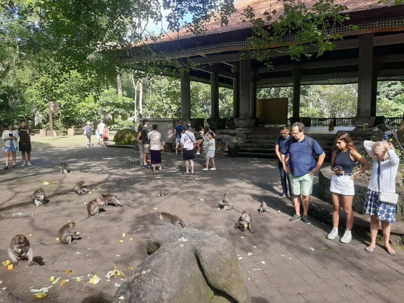 Ubud: Monkey Forest, Rice Terrace, and Waterfall - Good To Know