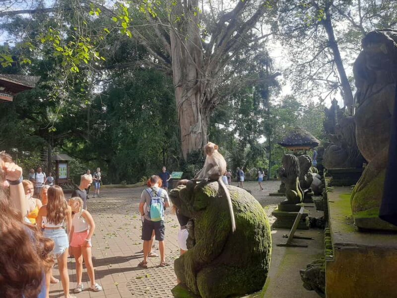 Ubud: Monkey Forest, Rice Terrace, and Waterfall - Authentic Traveler Insights