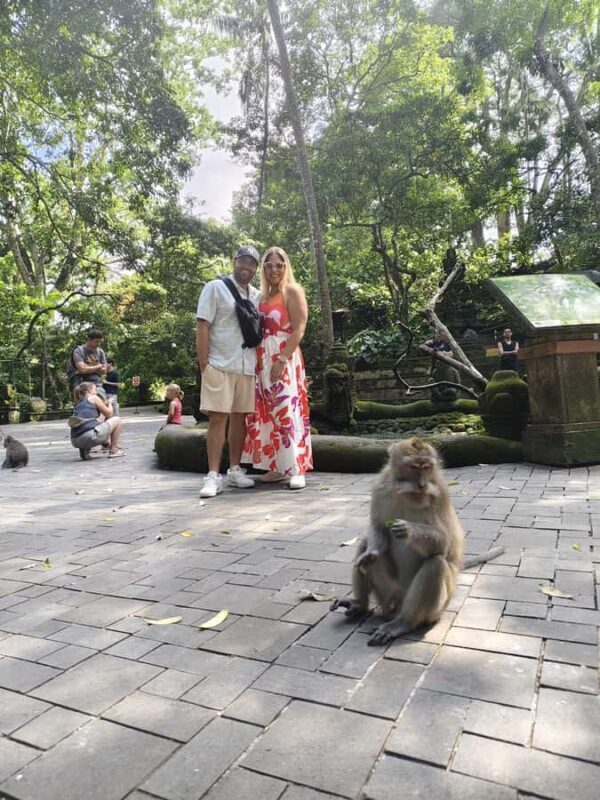 Ubud Monkey Forest, Rice Terrace, Swing, Temple & Waterfall - Final Thoughts: Is This Tour Right for You?