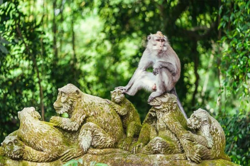 Ubud Monkey Forest, Rice Terrace, Swing, Temple & Waterfall - FAQ