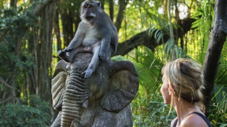 Ubud: Monkey Forest, Rice Terrace & Tanah Lot Private Tour - Traditional Balinese House Visit
