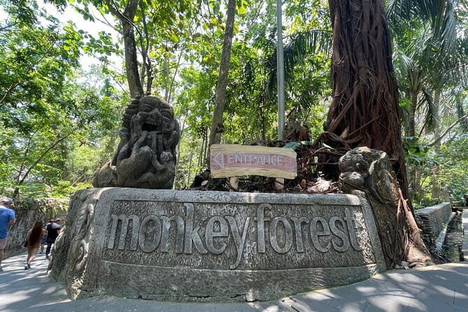 Ubud Monkey Forest Rice Terrace Temple Waterfall Private Tour - Is This Tour Right for You?