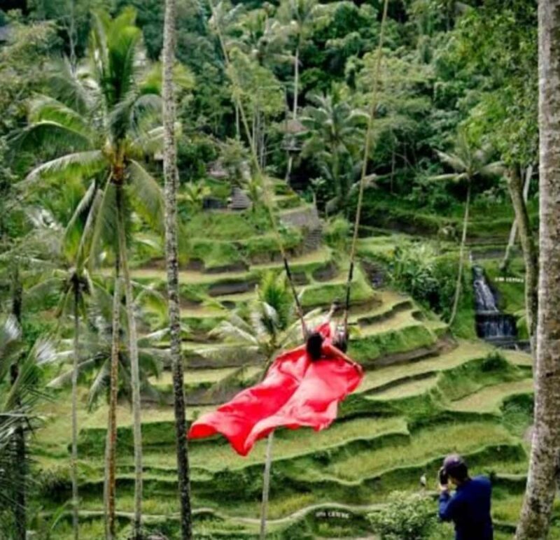 Ubud: Monkey Forest, Rice Terrace ticket included - Good To Know