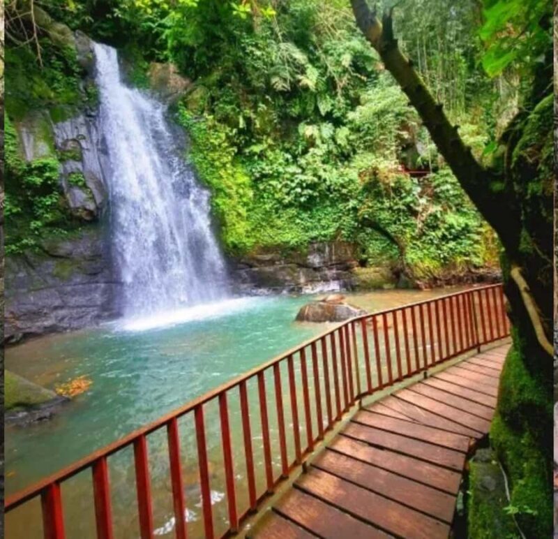 Ubud: Monkey Forest, Rice Terrace ticket included - Final Thoughts: Who Should Book This Tour?