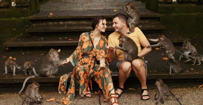 Ubud Monkey Forest, Rice Terrace & Waterfalls Tour - Tour Itinerary