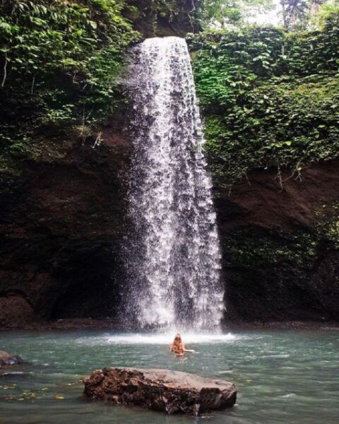 Ubud Monkey Forest, Rice Terrace & Waterfalls Tour - Rice Terrace Exploration