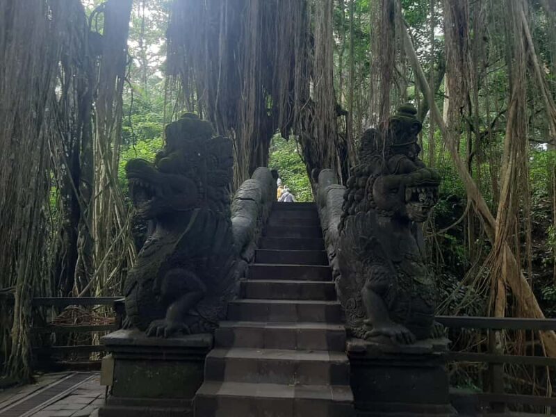 Ubud: Monkey Forest, Rice Terraces, and Waterfall - Good To Know