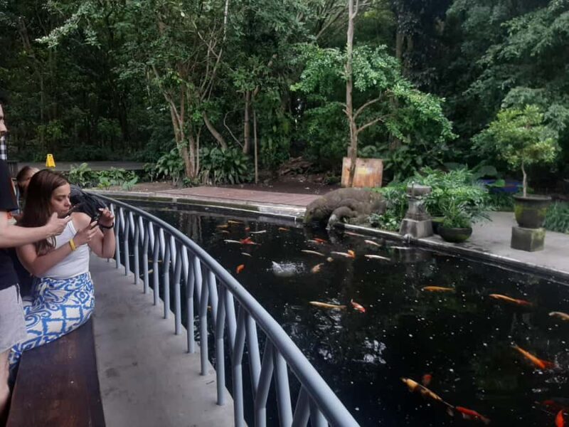 Ubud: Monkey Forest, Rice Terraces, and Waterfall - The Sum Up