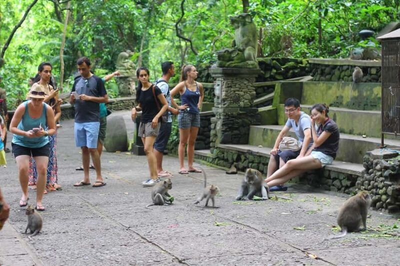 Ubud: Monkey Forest, Rice Terraces, and Waterfall Tour - FAQ