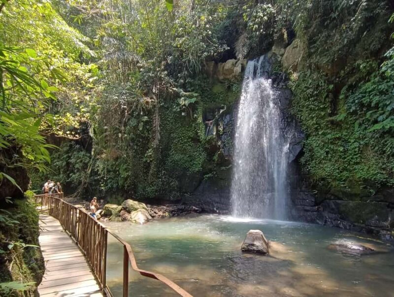 Ubud: Monkey Forest, Rice Terraces, and Waterfall Tour - Discovering Ubud: A Complete Day of Highlights