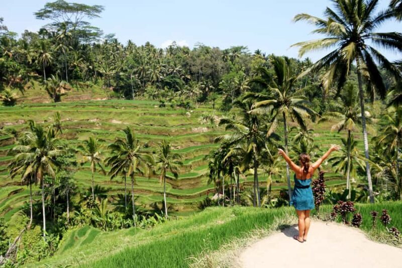 Ubud: Monkey Forest, Rice Terraces & Art Craft Village Tour - What to Expect from This Ubud Tour
