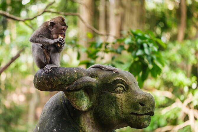 Ubud: Monkey Forest, Rice Terraces & Sacred Temples - The Experience: What You’ll Love