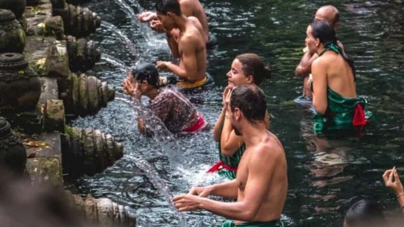 Ubud: Monkey Forest, Rice Terraces, Temple&Petanu Waterfall - In-Depth Look at the Ubud Day Tour