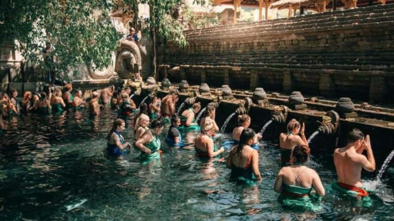 Ubud: Monkey Forest, Rice Terraces, Temple&Petanu Waterfall - Who Should Consider This Tour?