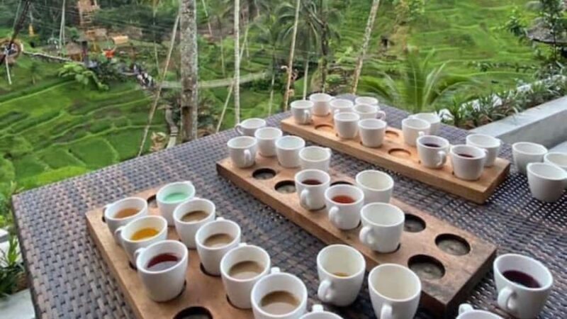 Ubud: Monkey Forest, Rice Terraces, Temple&Petanu Waterfall - Final Thoughts