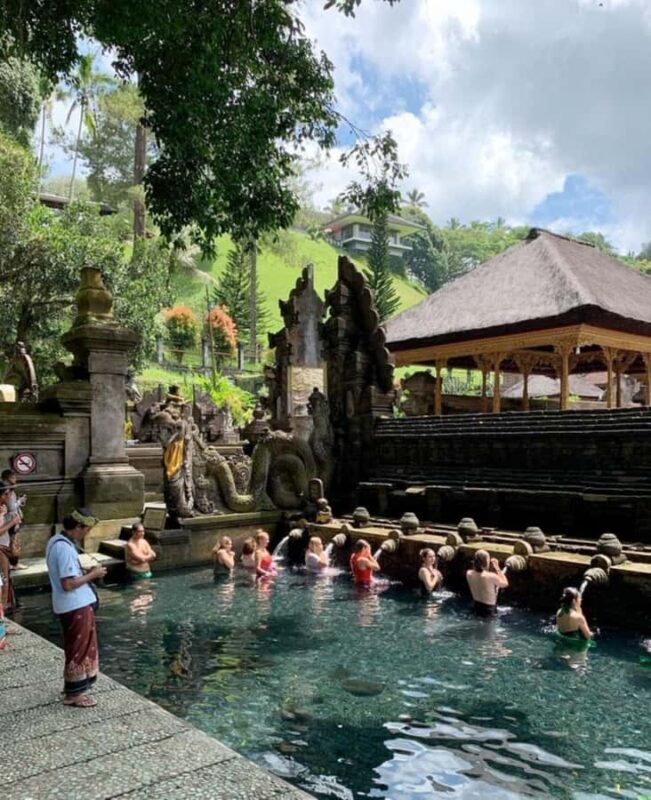 Ubud, Monkey forest, Riceterace Waterfall, Purification - An In-Depth Look at the Ubud Tour Experience