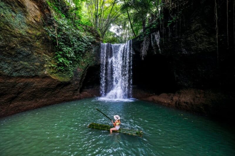 Ubud, Monkey forest, Riceterace Waterfall, Purification - Who Should Book This Tour?