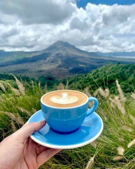 Ubud, Monkey forest, Riceterace Waterfall, Purification - FAQ