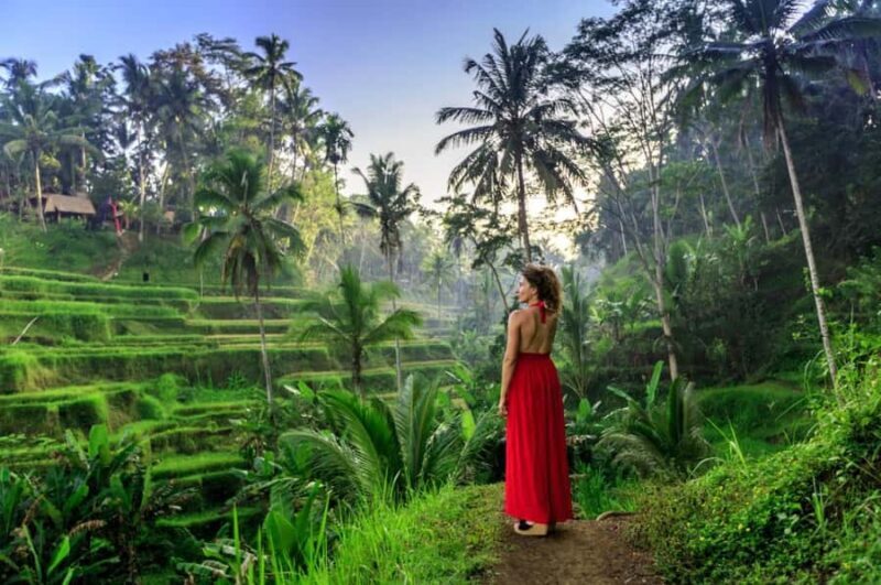 Ubud: Monkey Forest Sanctuary & Jungle Swing Tour - Good To Know