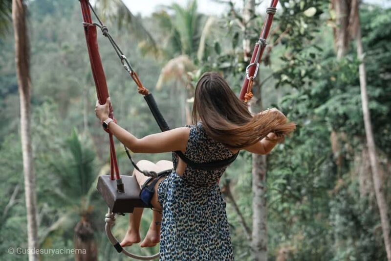 Ubud: Monkey Forest Sanctuary & Jungle Swing Tour - What to Expect from the Tour