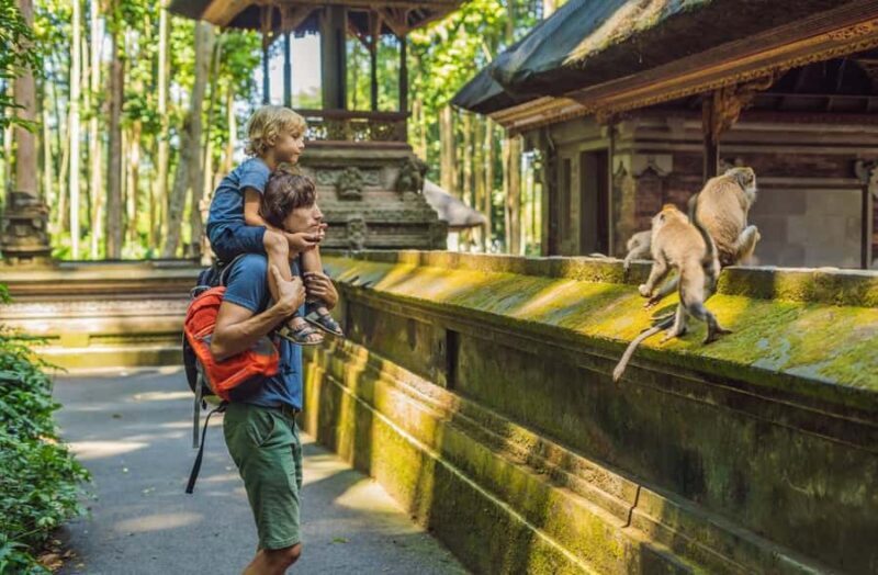 Ubud: Monkey Forest Sanctuary & Jungle Swing Tour - Who Will Love This Tour?