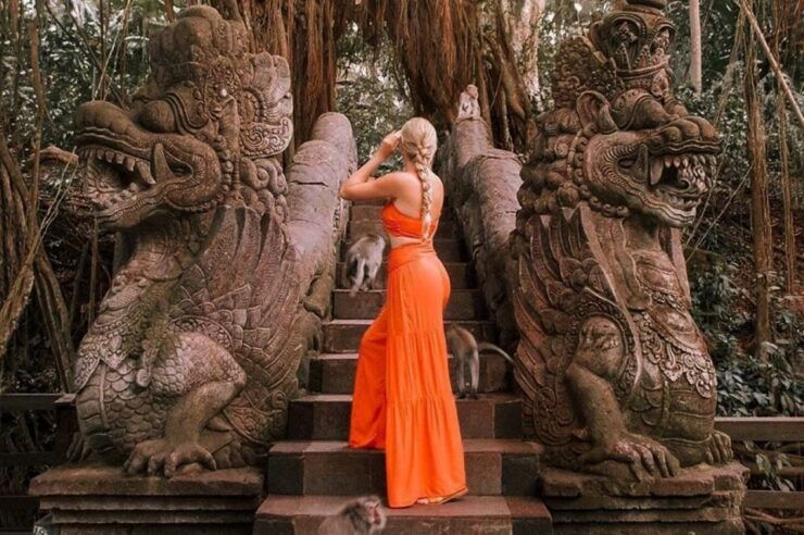 UBUD: Monkey Forest, Temple, Rice Terrace and Art Village - Highlights of Monkey Forest Visit