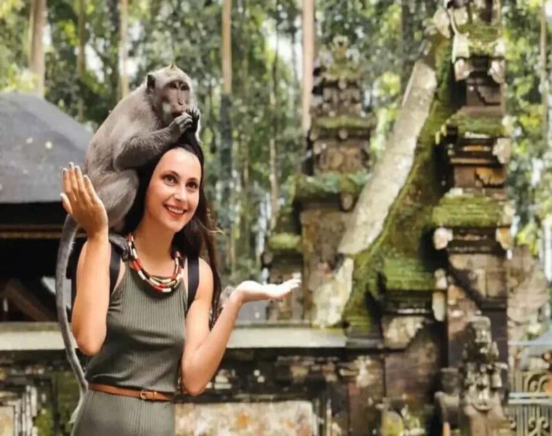 Ubud Monkey Forest, Temple, Rice Terraces, Hidden Waterfall - The Sum Up: Who Is This Tour Best For?