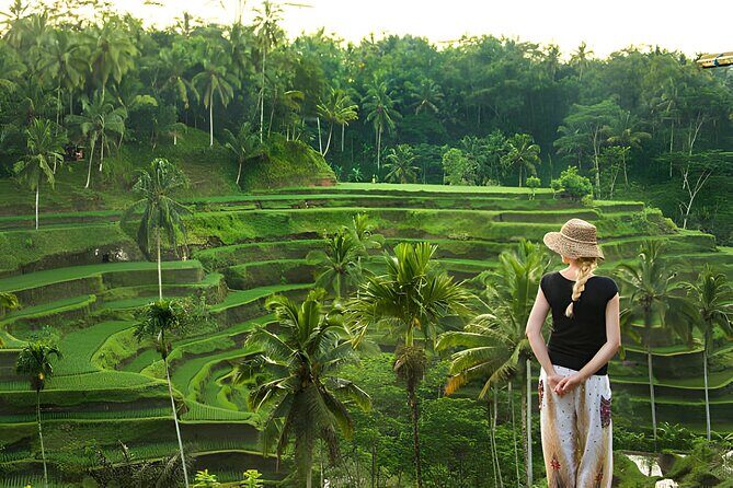 Ubud: Monkey Forest, Temple, Rice Terraces & Waterfall - Discovering Bali’s Heart: Ubud’s Highlights Tour