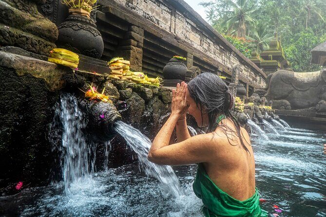 Ubud: Monkey Forest, Temple, Rice Terraces & Waterfall - A Deep Dive into the Ubud Highlights Tour