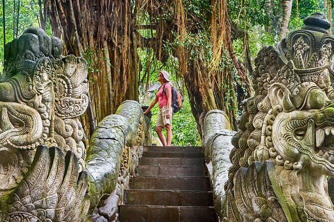 Ubud: Monkey Forest, Temple, Rice Terraces & Waterfall - The Sum Up