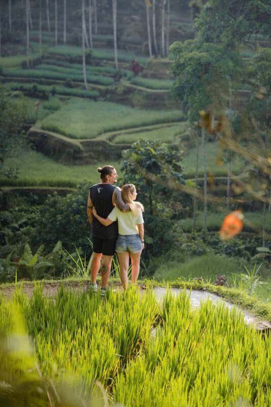 Ubud: Monkey Forest, Tirta Empul & Rice Terrace Day Tour - A Deep Dive into the Day