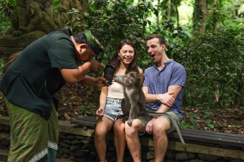 Ubud: Monkey Forest, Tirta Empul & Rice Terrace Day Tour - Discovering Bali’s Natural and Spiritual Treasures in One Day