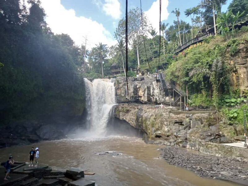 Ubud :Monkey forest, Water Temple and waterfall Private Tour - The Value of This Experience