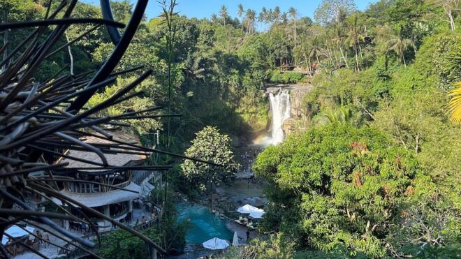 Ubud: Monkey Forest, Water Temple, Rice Terrace & Waterfall - Tegalalang Rice Terrace