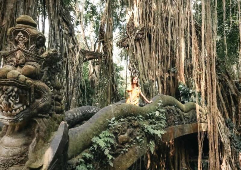 Ubud: Monkey Forest, Waterfall, and Rice Terrace Tour - Good To Know