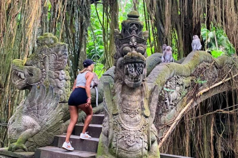 Ubud: Monkey Forest, Waterfall, and Rice Terrace Tour - A Thorough Look at the Ubud Tour Experience