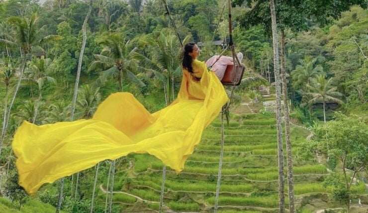 Ubud: Monkey Forest, Waterfall, Rice Terrace & Temple Tour - Tour Details and Pickup/Transportation