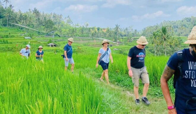 Ubud: Monkey Forest, Waterfall, Rice Terrace & Temple Tour - Full Tour Description