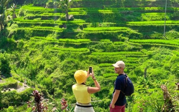 Ubud: Monkey Forest, Waterfall, Rice Terrace & Temple Tour - Common Questions