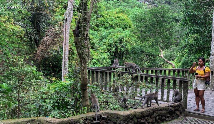 Ubud: Monkey Forest, Waterfall & Rice Terraces Guided Tour - Full Description