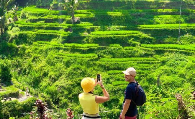 Ubud: Monkey Forest, Waterfall & Rice Terraces Guided Tour - Logistics