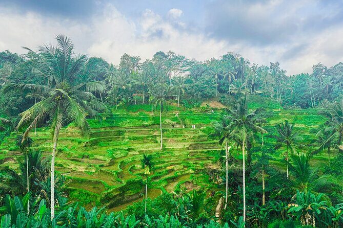 Ubud Nature, Art Making, and Experience - Customize Private Tour - Good To Know